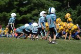 000-DSC_0890.JPG.small.jpeg