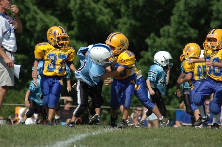 002-DSC_0895.JPG.medium.jpeg