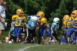 002-DSC_0895.JPG.small.jpeg
