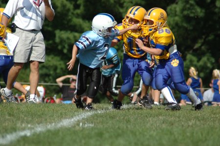 003-DSC_0896.JPG.medium.jpeg