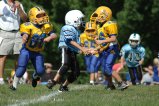 004-DSC_0897.JPG.small.jpeg