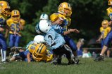 005-DSC_0898.JPG.small.jpeg