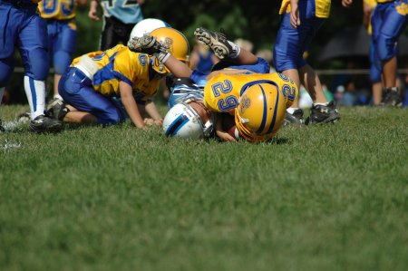 006-DSC_0899.JPG.medium.jpeg