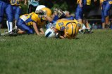 006-DSC_0899.JPG.small.jpeg