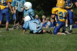 008-DSC_0901.JPG.small.jpeg