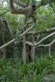 img026.jpeg.small.jpeg