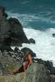 img029.jpeg.small.jpeg