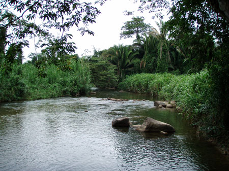 P1010009