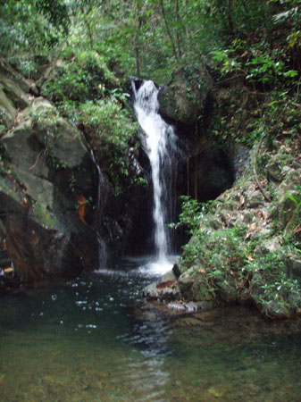 P1010017