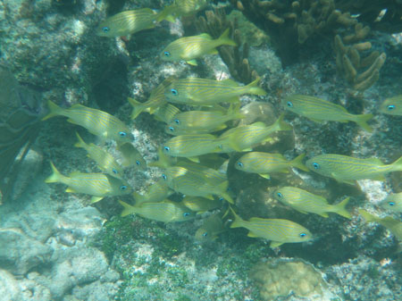 P1010078