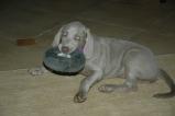 img000.jpeg.small.jpeg
