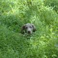 img002.jpeg.small.jpeg