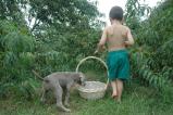 img006.jpeg.small.jpeg