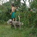 img009.jpeg.small.jpeg