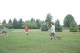 img012.jpeg.small.jpeg