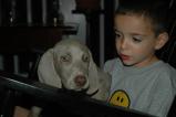 img020.jpeg.small.jpeg