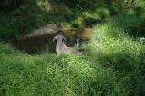 img022.jpeg.small.jpeg