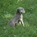 img024.jpeg.small.jpeg