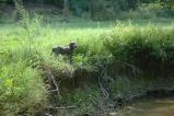 img030.jpeg.small.jpeg