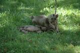 img033.jpeg.small.jpeg