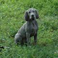 img034.jpeg.small.jpeg