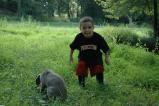 img035.jpeg.small.jpeg