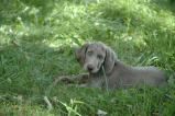 img036.jpeg.small.jpeg