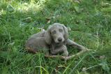 img038.jpeg.small.jpeg