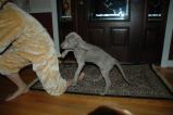 img041.jpeg.small.jpeg